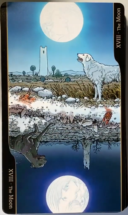 Tarot of Oppositions